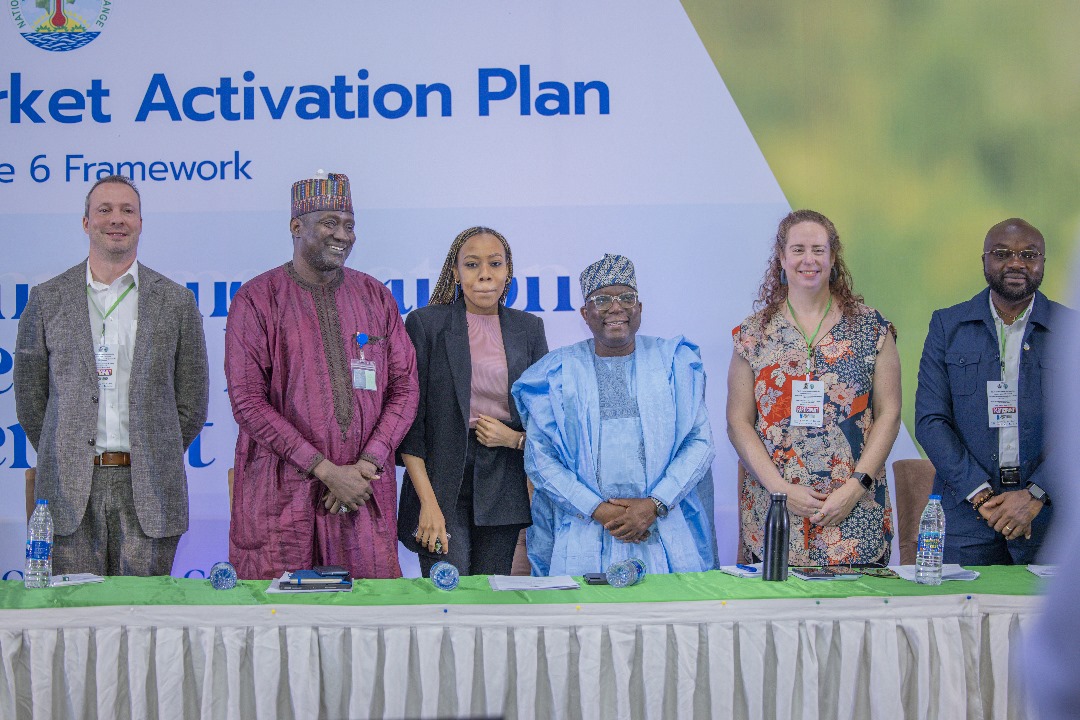 Nigeria Gears Up For Carbon Trading: NCCC Hosts Training On Article 6 Implementation