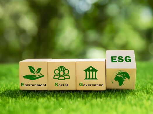 Sustainability Reporting with ESG